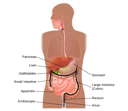 Boli ale aparatului digestiv
