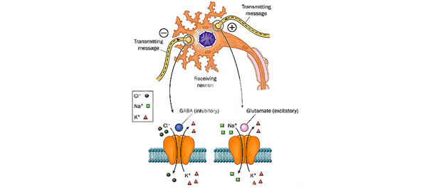 Epilepsia