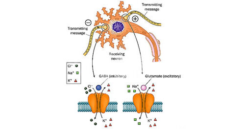 Epilepsia