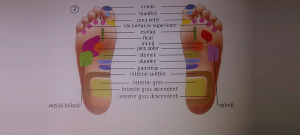 Reflexoterapia talpilor